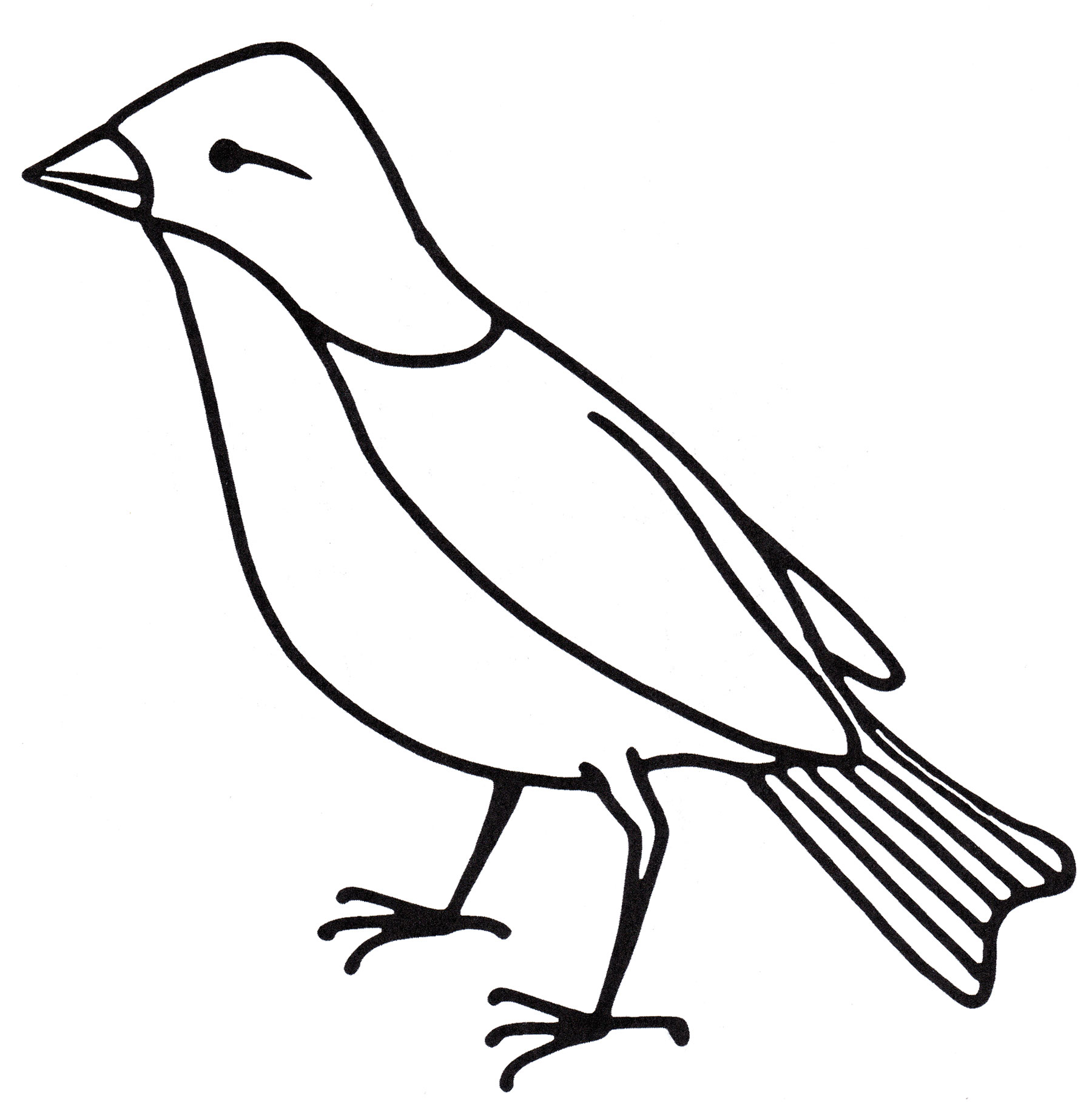 Схематичный рисунок птицы