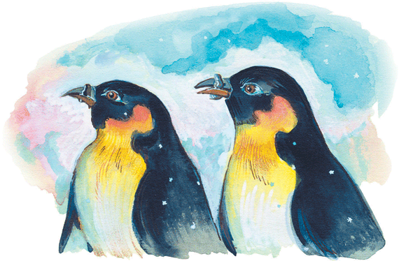 Про пингвинов | Изображение - 6