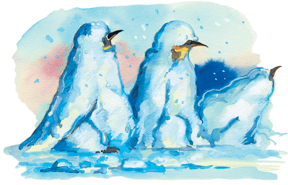 Про пингвинов | Изображение - 7