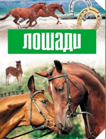 Лошади, Рассказ