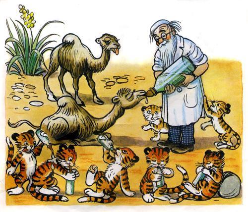 доктор Айболит лечит животных верблюжата и тигрята