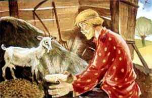 Накормил Иван козу желудями, стал доить. А вместо молока у козы - золото