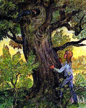 девочка у дерева с огромным дуплом