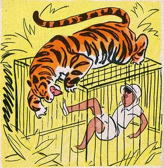 тигр напал на мальчика
