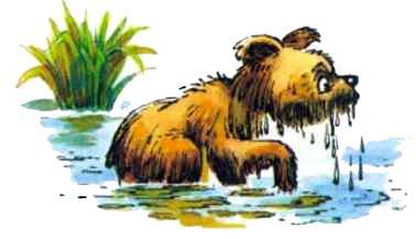 мокрый медвежонок в озере