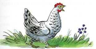 курица курочка идет по траве