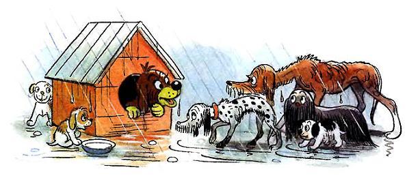 Пиф в будке собаки под дождем