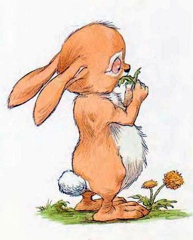Кролик жует траву
