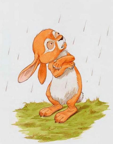 под дождем Кролик