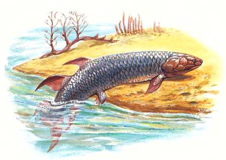 Рептилии произошли от рыб