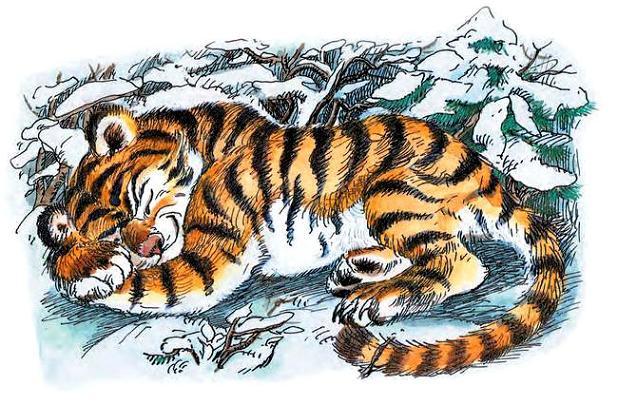 Окружил его тигрёнок своими мягкими лапами, положил на лапы голову, да и заснул под вой метели