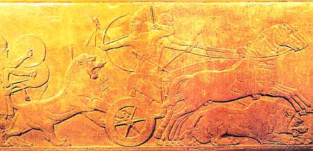 На этом рельефе IX в. из дворца в Нимруде запечатлен Ашшурнасирпал II, охотящийся на львов.