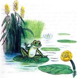 лягушонок на болоте озере кувшинка лягушка