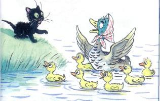 черныш котенок на берегу озера утка с утятами плавают