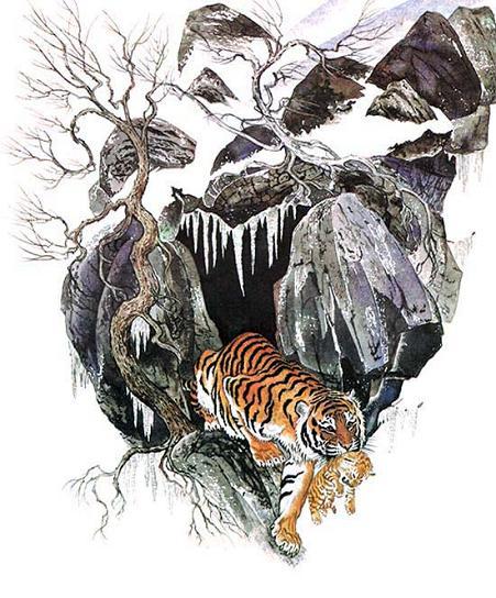 Тигрица Ригма несет тигренка в зубах